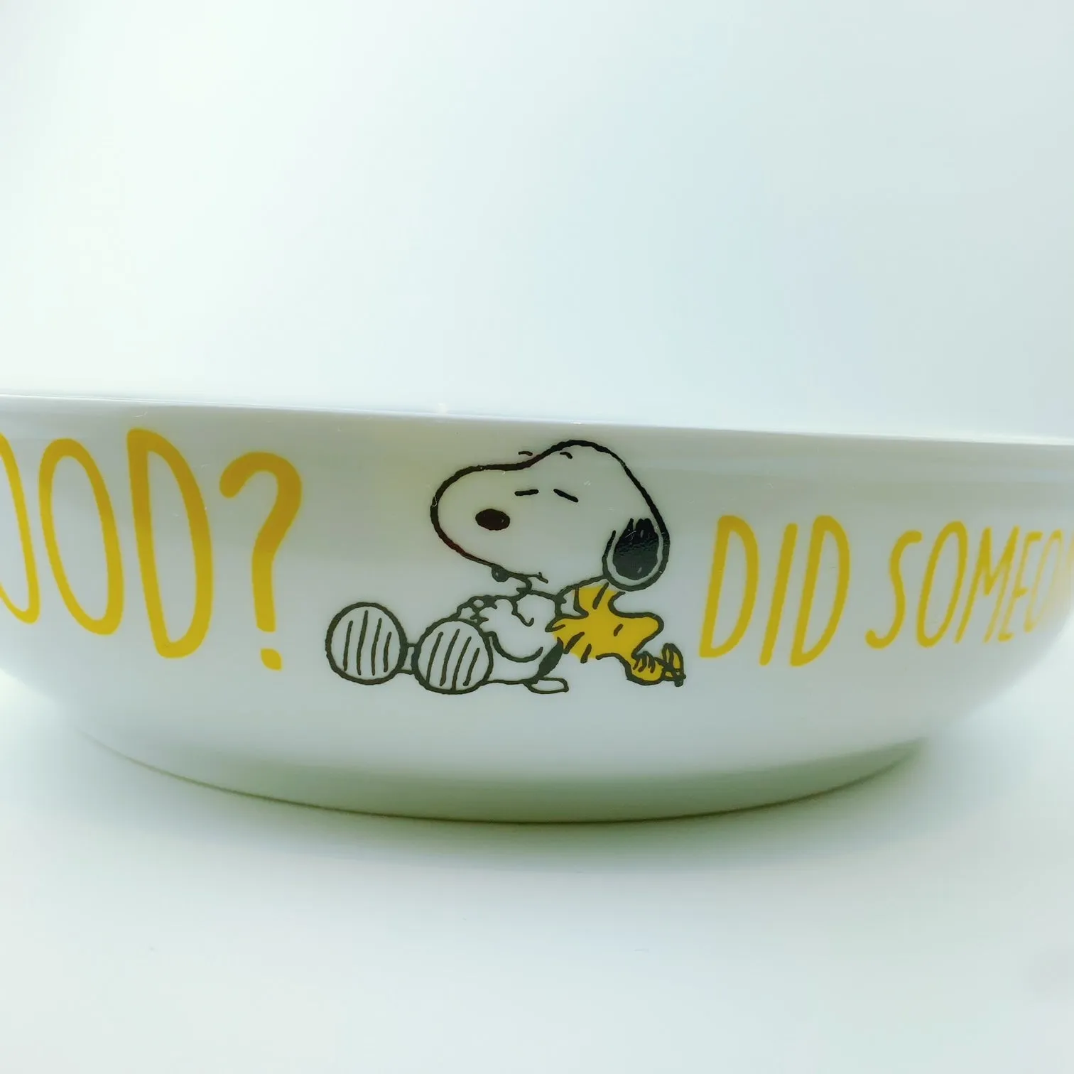 Peanuts Snoopy & Woodstock Prone Dinner Bowl Did Someone Say Food 8.5"